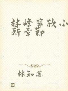 林峰宁欣小说最新章节封面