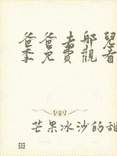 爸爸去哪儿第六季免费观看完整版封面