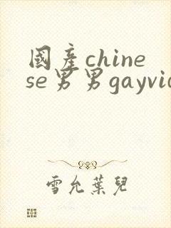 国产chinese男男gayvideo封面