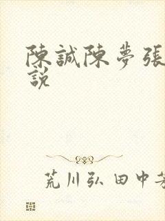 陈诚陈梦张璐小说封面