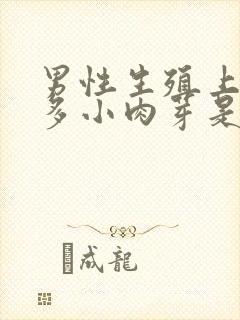 男性生殖上有很多小肉芽是啥情况