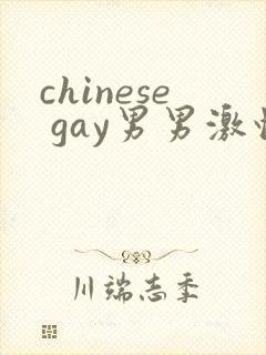 chinese gay男男激情封面