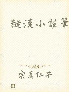 糙汉小说笔趣阁封面