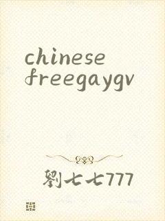 chinesefreegaygv