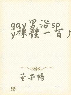 gay男浴spy裸体一百度