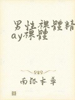 男性裸体精光gay裸体