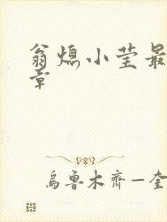 翁熄小莹最新节章