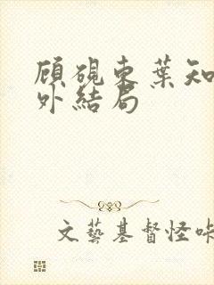 顾砚东叶知安番外结局