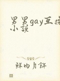 男男gay互操小说