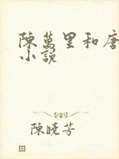 陈万里和唐嫣然小说封面