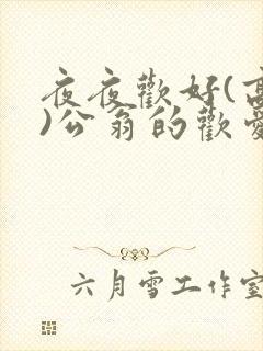 夜夜欢好(高h)公翁的欢爱封面