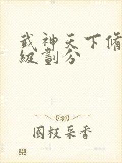 武神天下修炼等级划分