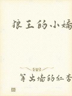 狼王的小娇妻封面