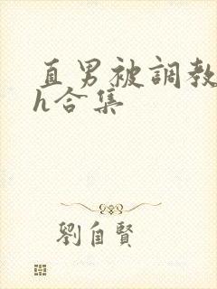 直男被调教成受h合集