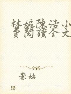 林婉陈浩小说免费阅读全文最新章节