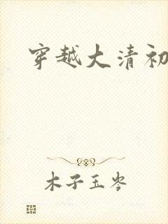 穿越大清初年封面