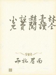 小说赵青林安澜免费阅读全文