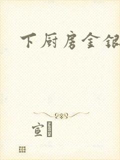 下厨房金银花露封面