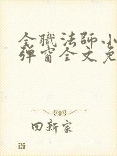 全职法师小说无弹窗全文免费阅读封面