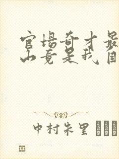 官场奇才最强靠山竟是我自己李霖小说