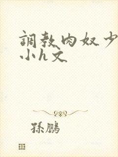 调教肉奴少司缘小h文