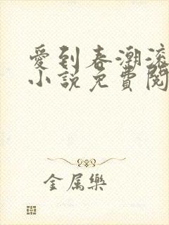 爱到春潮滚滚来小说免费阅读