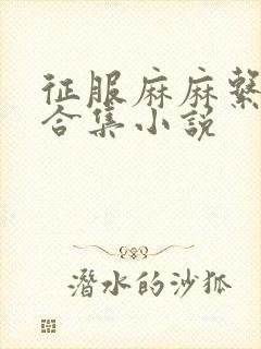 征服麻麻系列大合集小说