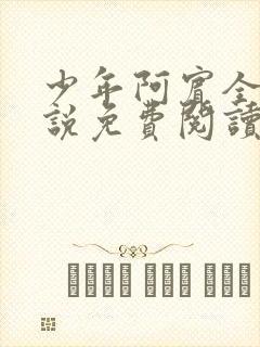 少年阿宾全文小说免费阅读笔趣阁