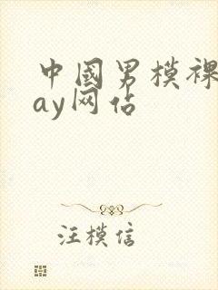 中国男模裸男gay网站封面