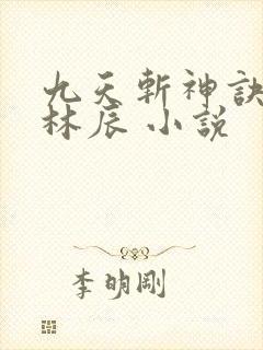 九天斩神诀小说林辰 小说封面