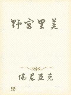 野宫里美封面