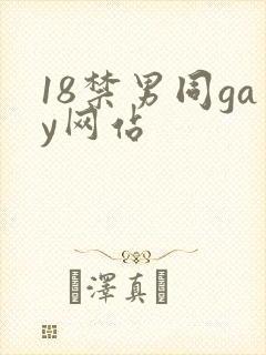 18禁男同gay网站
