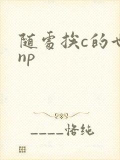 随处挨c的世界np