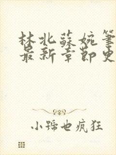 林北苏婉笔趣阁最新章节更新内容