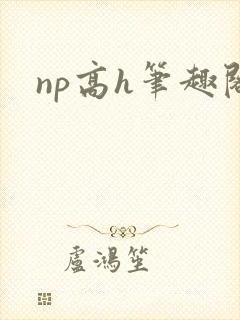 np高h笔趣阁