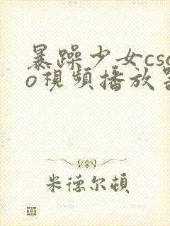 暴躁少女csgo视频播放器推荐