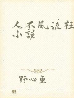 人不风流枉少年小说