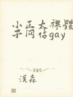 小正太裸体脱裤子网站gay
