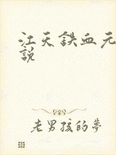 江天铁血元帅小说