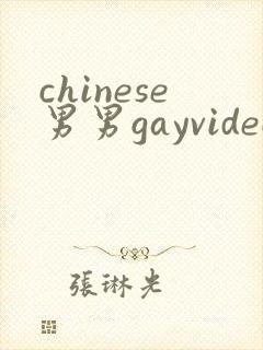 chinese男男gayvideo