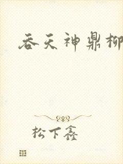 吞天神鼎柳无邪