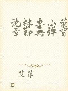 沈林鲁小荣最新章节无弹窗笔趣阁