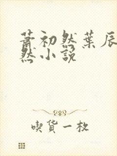 萧初然叶辰萧初然小说封面