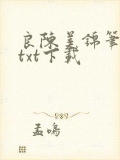 良陈美锦笔趣阁txt下载封面