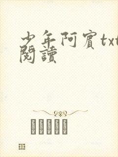 少年阿宾txt阅读