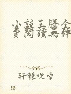 小说王腾全文免费阅读无弹窗