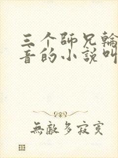 三个师兄轮流上音的小说叫什么