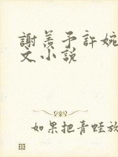 谢羡予许婉若全文小说