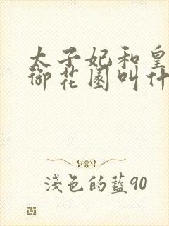 太子妃和皇帝在御花园叫什么小说