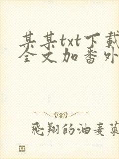 某某txt下载全文加番外